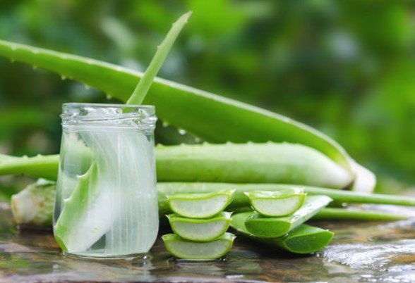 Aloevera Juice 100ml
